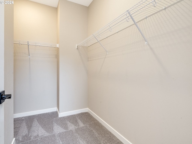 spacious closet with carpet flooring