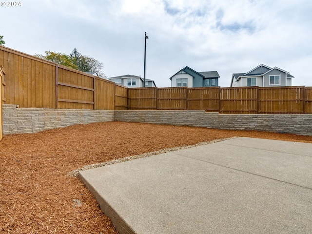 view of yard featuring a patio