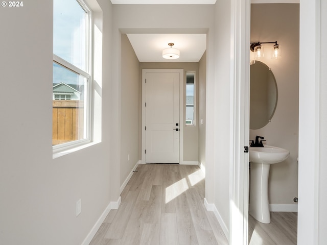 interior space featuring light hardwood / wood-style floors and sink