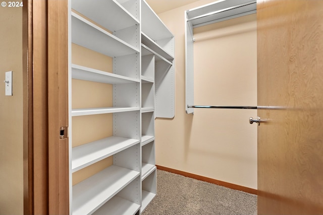 spacious closet with carpet floors