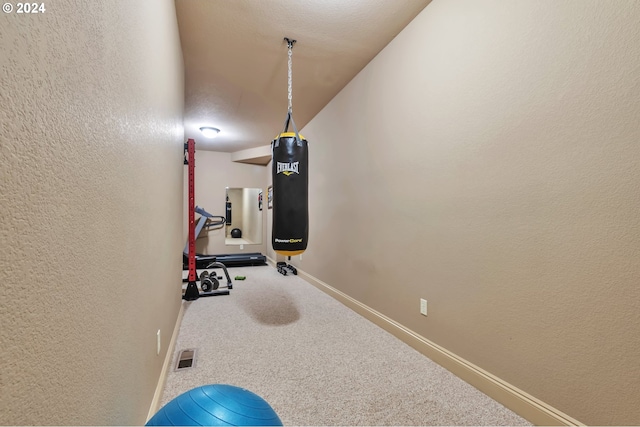 workout room featuring carpet floors