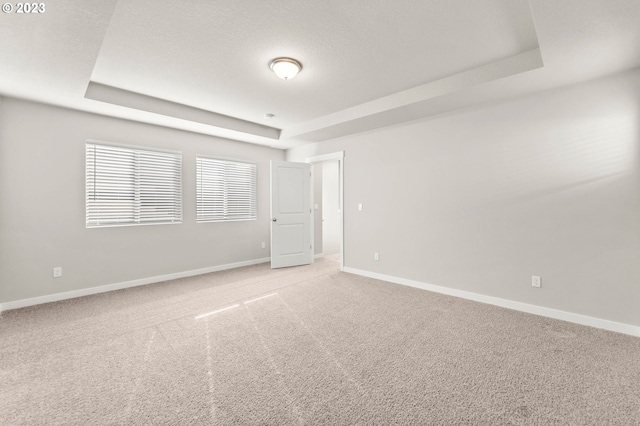 empty room featuring carpet and a raised ceiling