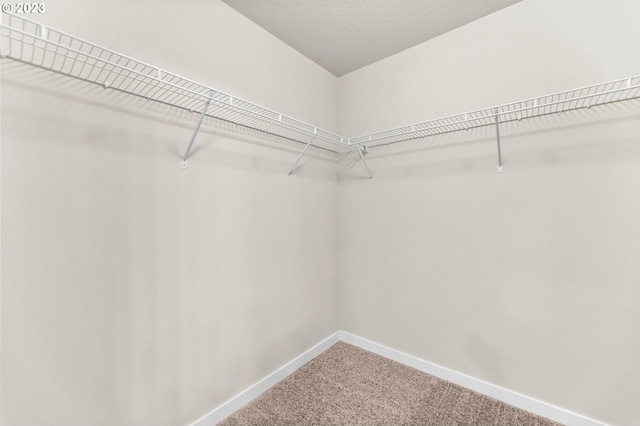 walk in closet featuring carpet flooring