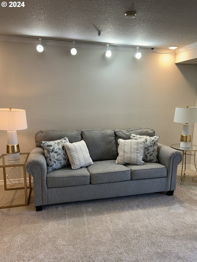 carpeted living room featuring crown molding, rail lighting, and a textured ceiling