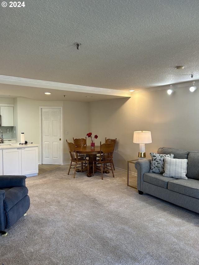 living room featuring sink, light colored carpet, and a textured ceiling