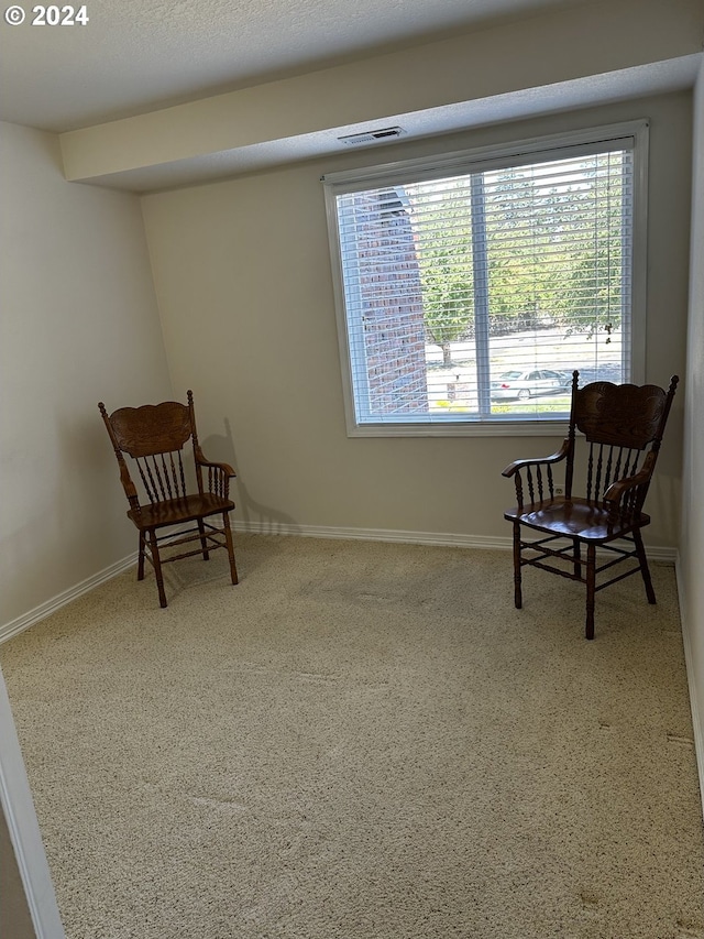 view of sitting room