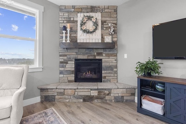 living room with light wood-type flooring and a fireplace