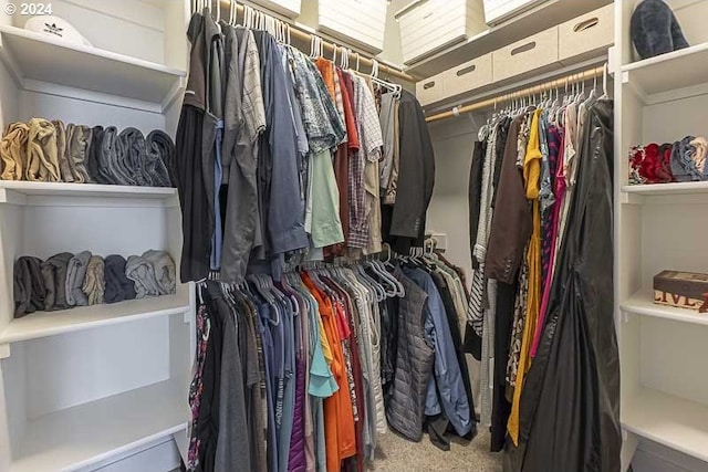 spacious closet with carpet