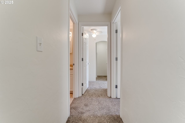 corridor with light colored carpet