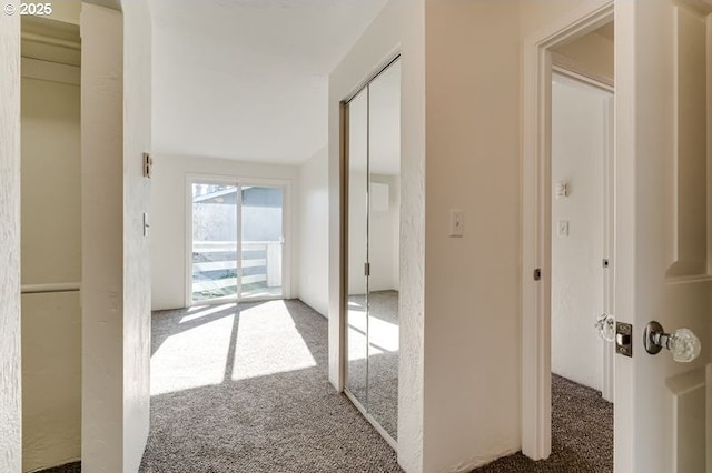 hallway featuring carpet flooring