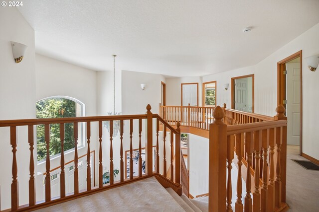 carpeted bedroom with a tray ceiling