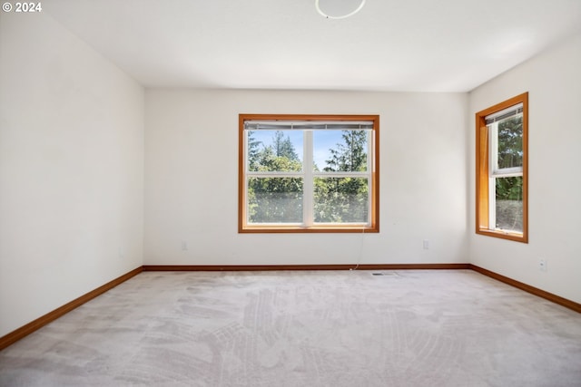 carpeted empty room featuring a wealth of natural light