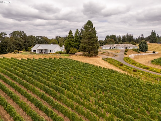 view of yard with a rural view and driveway