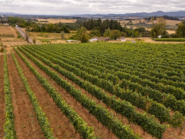 drone / aerial view featuring a rural view and a mountain view