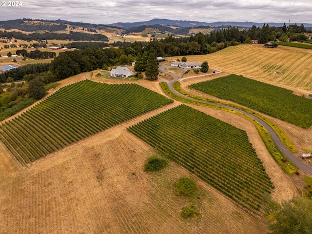 aerial view with a mountain view and a rural view