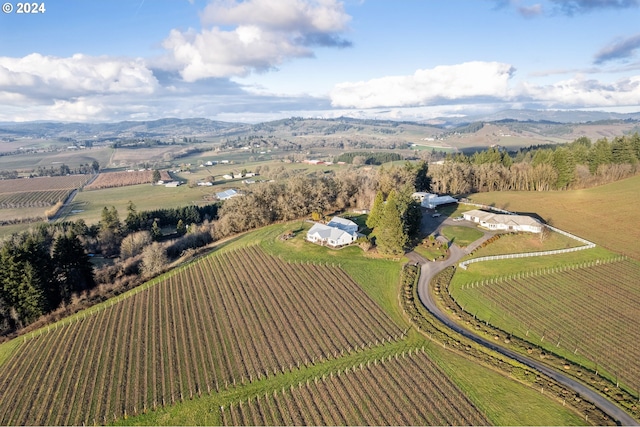 aerial view featuring a rural view and a mountain view