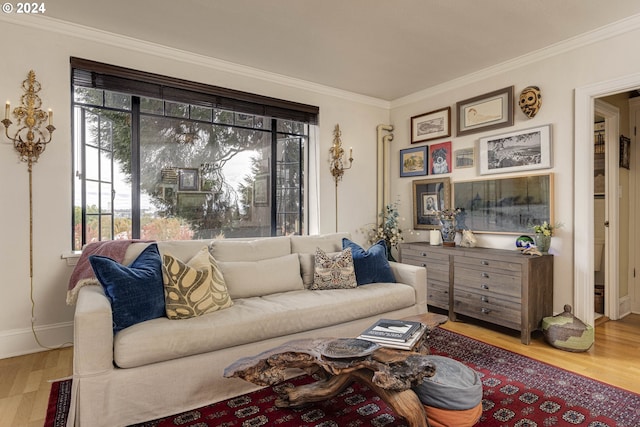 living room featuring baseboards, ornamental molding, and wood finished floors