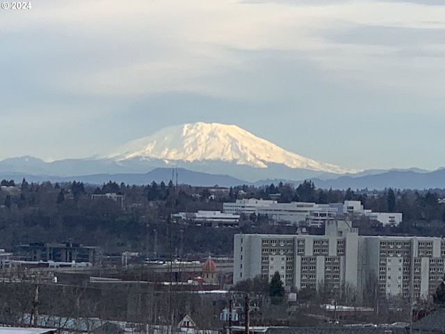 view of mountain feature