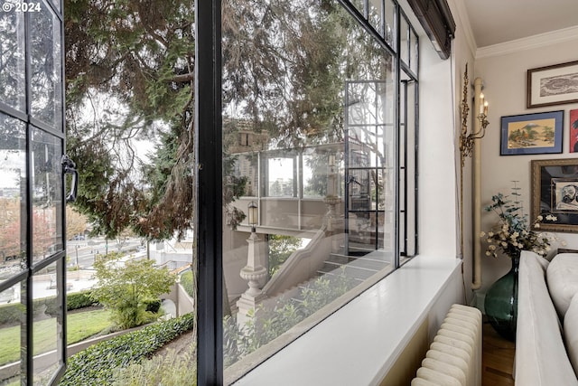 sunroom with a healthy amount of sunlight and radiator