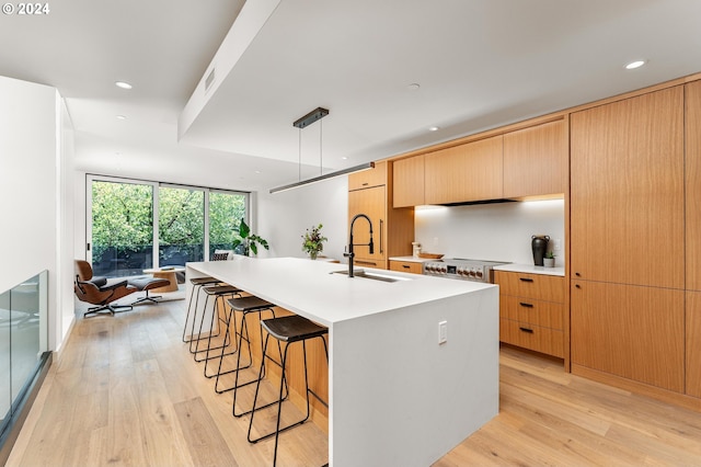 kitchen with an island with sink, light hardwood / wood-style flooring, hanging light fixtures, and sink