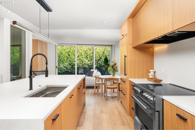 kitchen featuring light wood-type flooring, a kitchen island with sink, sink, decorative light fixtures, and high end stainless steel range