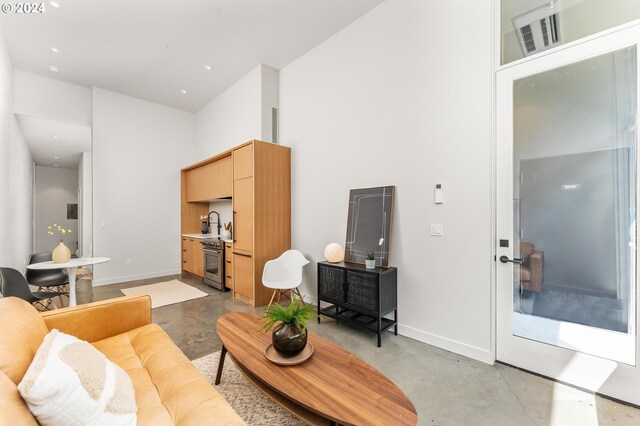 living room featuring concrete flooring and sink