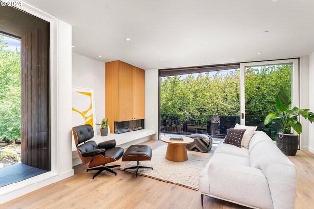 living room with light hardwood / wood-style floors, a fireplace, and expansive windows