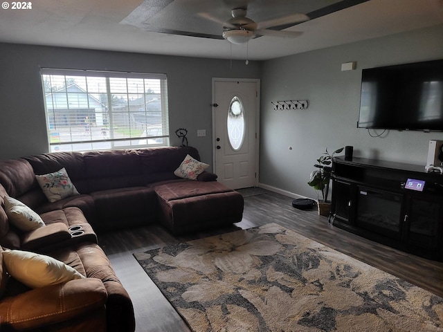 living room with ceiling fan, a fireplace, and dark wood-type flooring