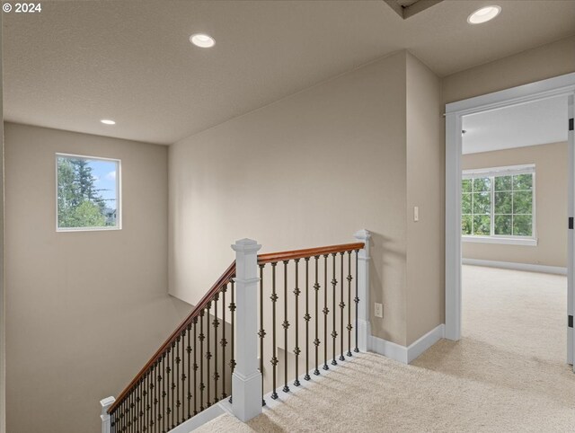 staircase with carpet and a textured ceiling