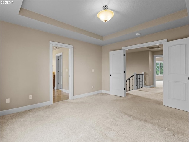 spare room with light colored carpet and a raised ceiling