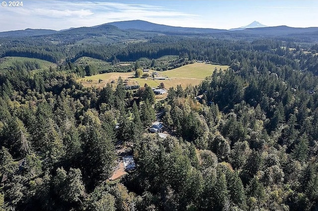 birds eye view of property featuring a mountain view