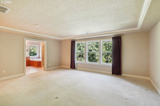 spare room with light colored carpet, a textured ceiling, and a raised ceiling