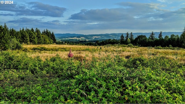 property view of mountains featuring a rural view