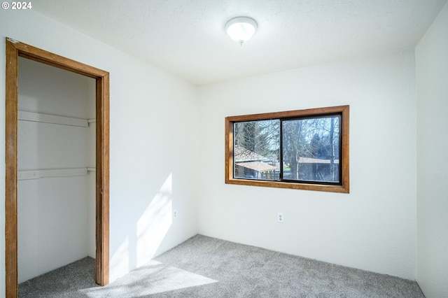 interior space featuring carpet flooring and a closet