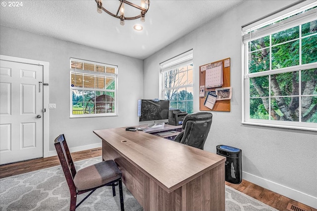 office with light hardwood / wood-style flooring, a healthy amount of sunlight, and a textured ceiling