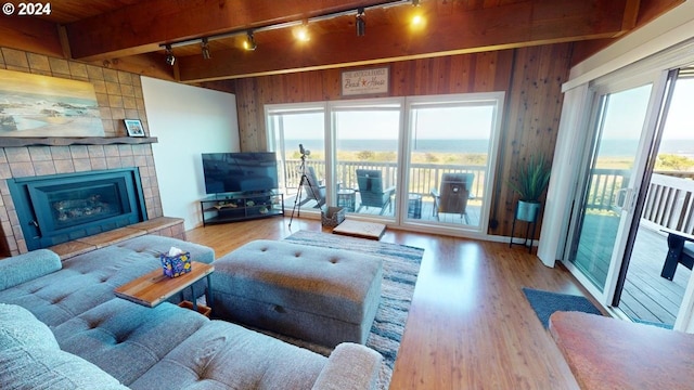 living room featuring a healthy amount of sunlight, wooden walls, rail lighting, and wood-type flooring