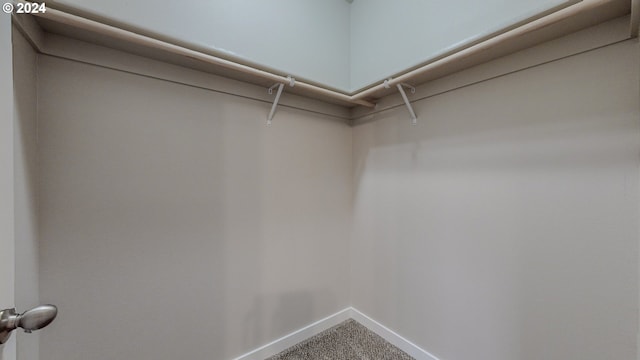 walk in closet with carpet flooring