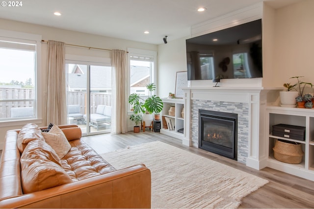 living room with light hardwood / wood-style floors