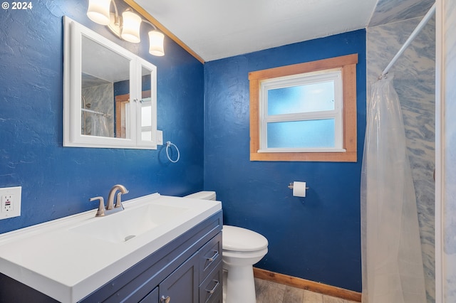 bathroom featuring a shower, vanity, toilet, and a wealth of natural light