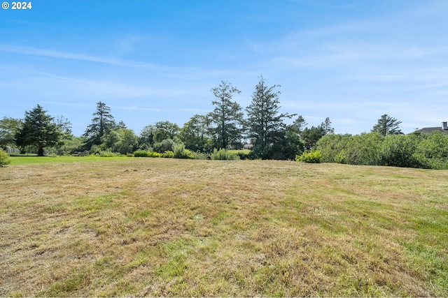 view of local wilderness featuring a rural view