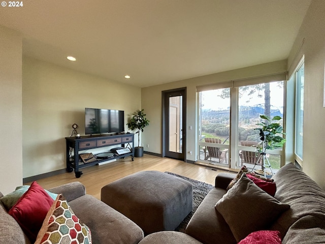 living room featuring light hardwood / wood-style flooring