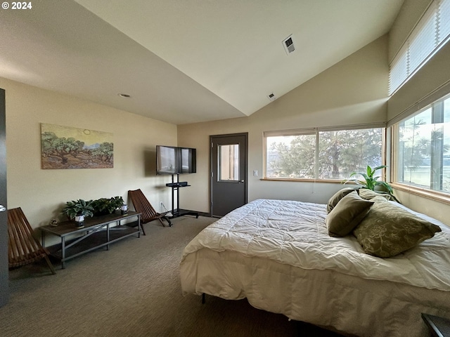 carpeted bedroom with lofted ceiling