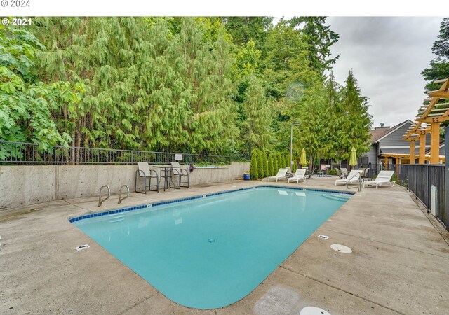 view of swimming pool featuring a patio