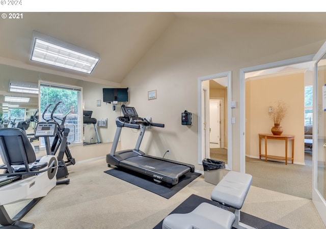 workout area featuring lofted ceiling and carpet floors