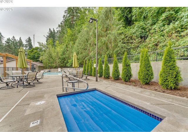 view of swimming pool featuring a patio