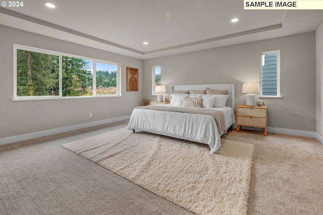 bedroom with carpet flooring and a tray ceiling