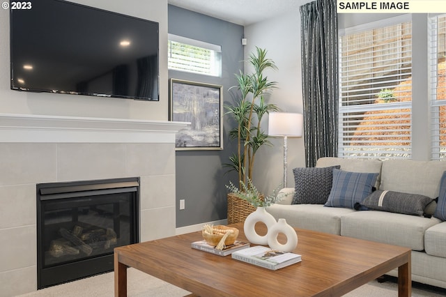 living room with carpet flooring