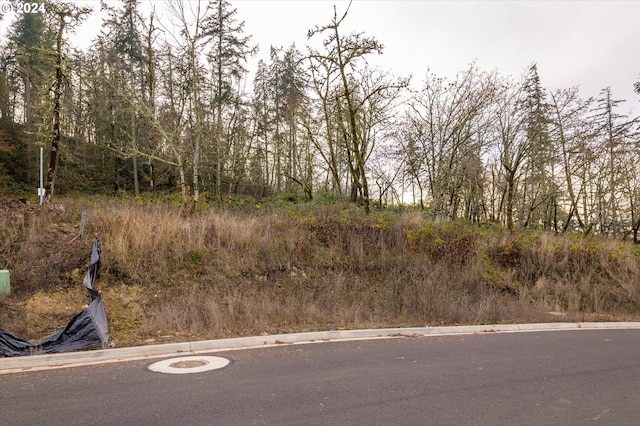 Cascara Dr Lot 92, Eugene OR, 97403 land for sale