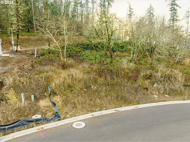 Listing photo 3 for Cascara Dr Lot 92, Eugene OR 97403