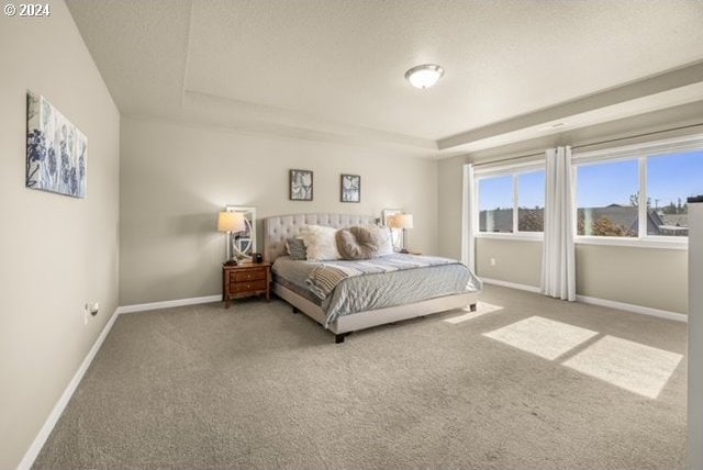 bedroom featuring a raised ceiling, carpet, and a textured ceiling